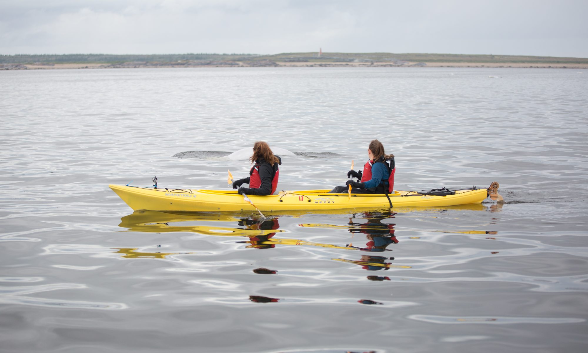 Kayak Churchill Manitoba Canada