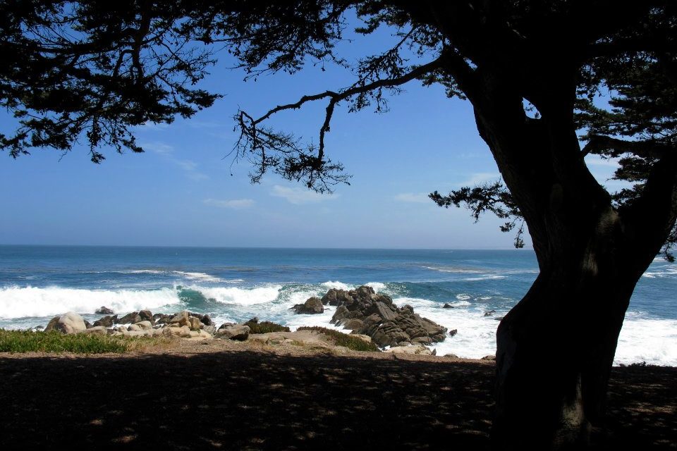 Californie- Pebble beach