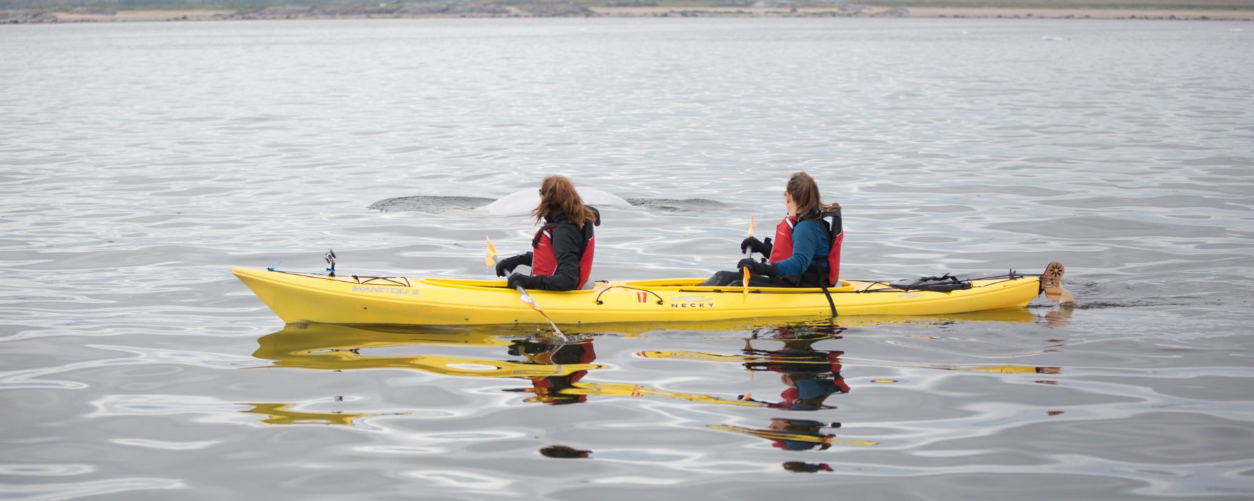 Faire du kayak sur la rivière Churchill au Manitoba