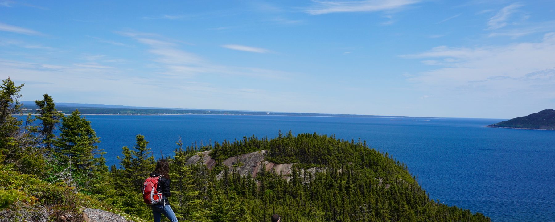 Randonnée à l'Île Grande Basque Sept-Îles