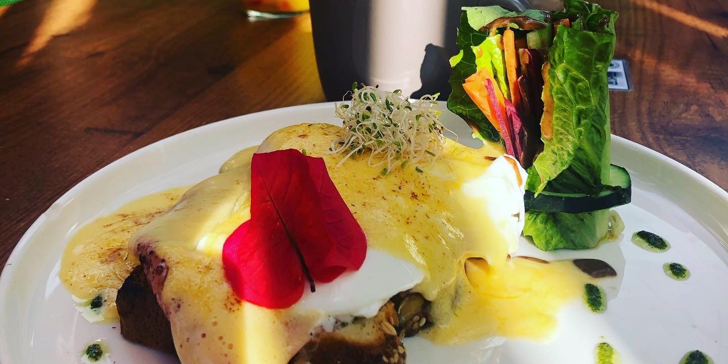 Oeufs bénédictines au Elefantitos Rosas dans la Colonia de Puerto Morelos